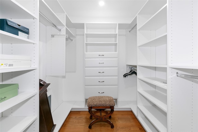 spacious closet featuring wood finished floors