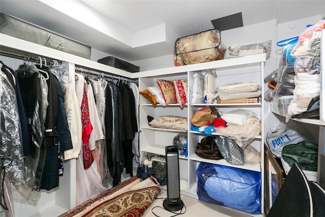 view of spacious closet