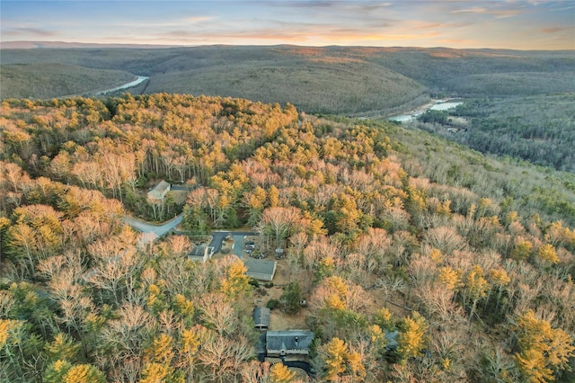 drone / aerial view featuring a mountain view and a view of trees