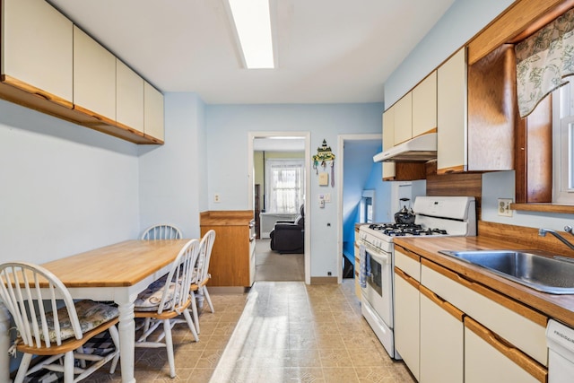 kitchen featuring white appliances, a sink, and under cabinet range hood