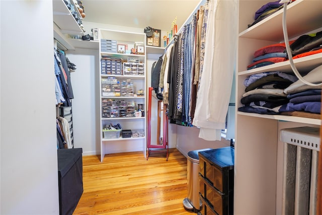 spacious closet with wood finished floors