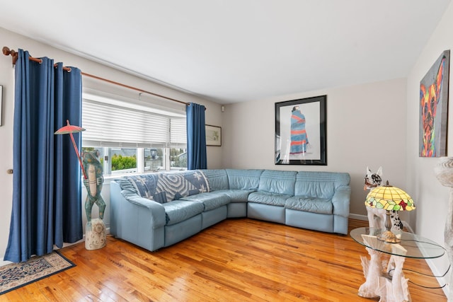 living room featuring hardwood / wood-style floors