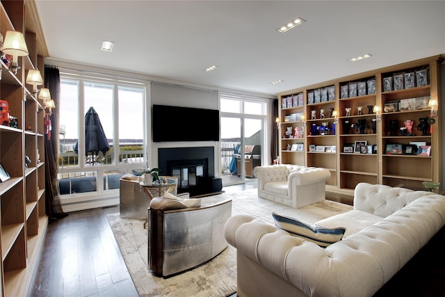 living room featuring a glass covered fireplace and wood finished floors