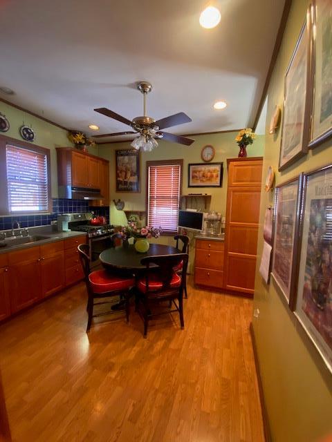 dining space featuring light wood-type flooring and a ceiling fan