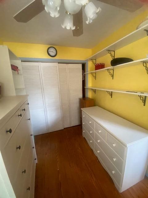 spacious closet with dark wood-style floors