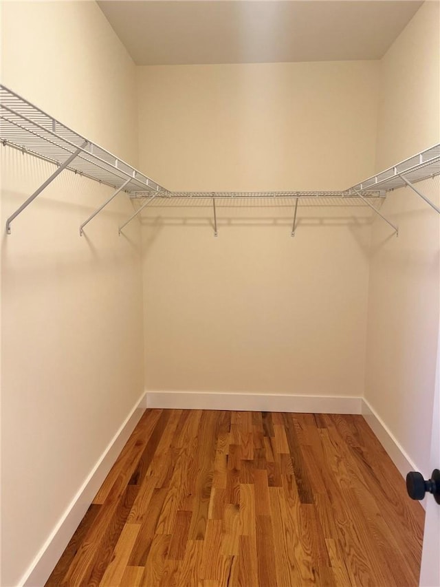 spacious closet with light wood-style flooring