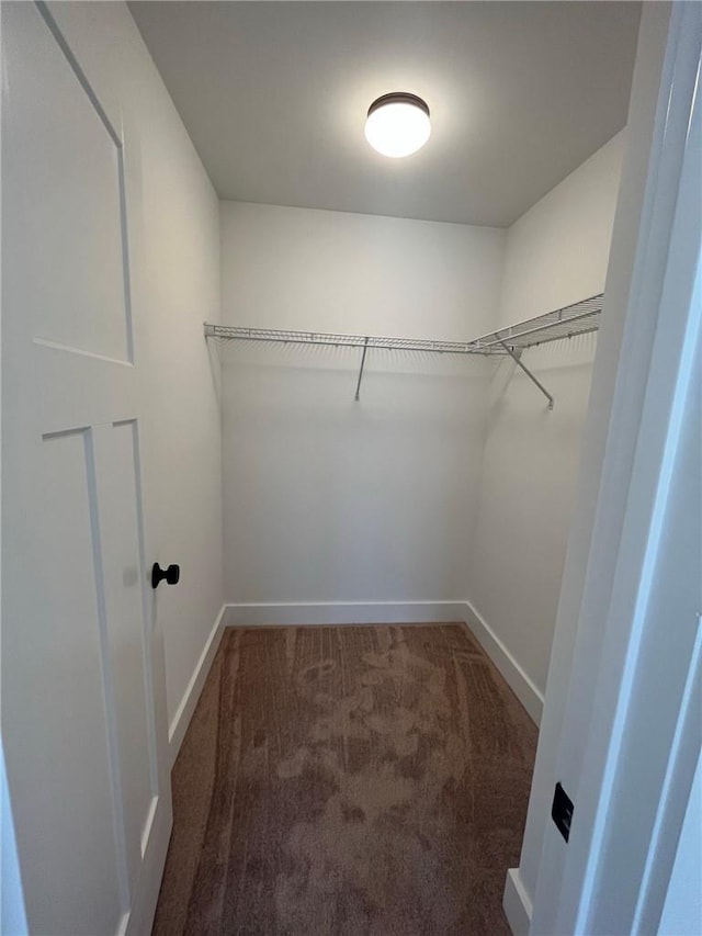 spacious closet with carpet