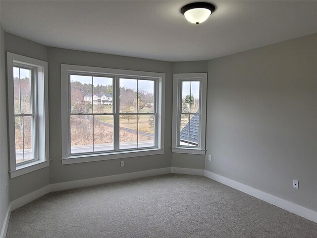 472 Wheeler Rd, Florida, NY 10921 - unfurnished room featuring carpet floors, plenty of natural light, and baseboards