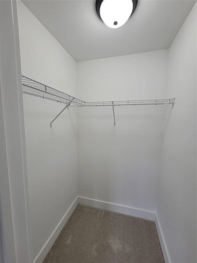 472 Wheeler Rd, Florida, NY 10921 - walk in closet with carpet floors