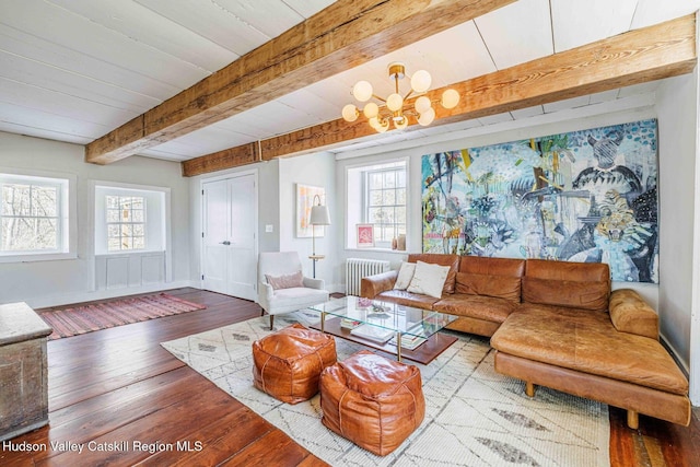 living area featuring a wealth of natural light, beamed ceiling, radiator, and wood-type flooring