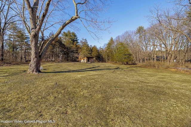 view of yard featuring a wooded view