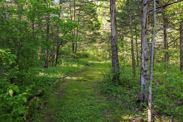 582 Old Kings Hwy, Accord, NY 12404 - photo 43