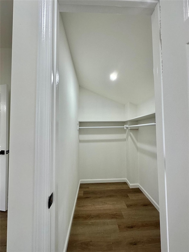 walk in closet with wood finished floors