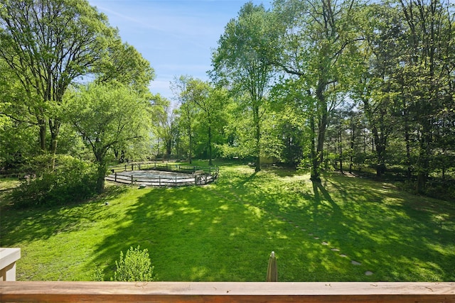 25 Moseman Ave, Katonah, NY 10536 - view of green lawn