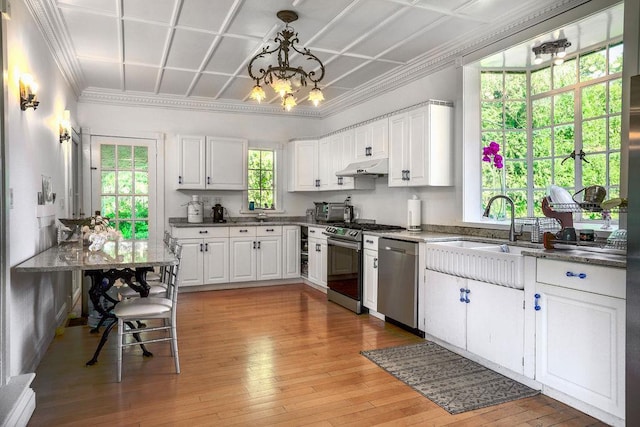 kitchen with under cabinet range hood, stainless steel appliances, a sink, light wood-style floors, and white cabinets