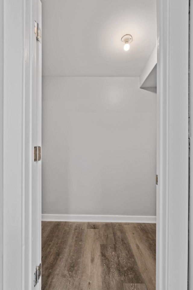 walk in closet featuring wood finished floors