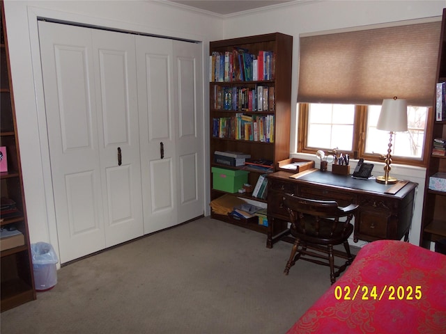 office space with carpet floors and ornamental molding