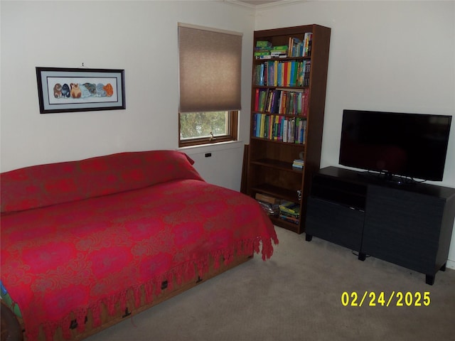 bedroom featuring carpet flooring