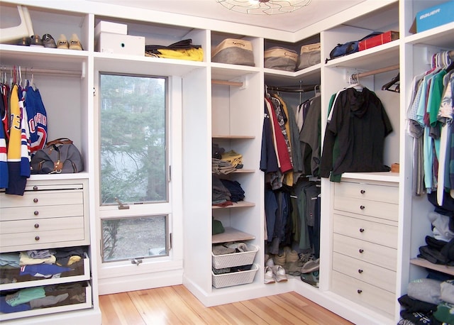 spacious closet with wood finished floors