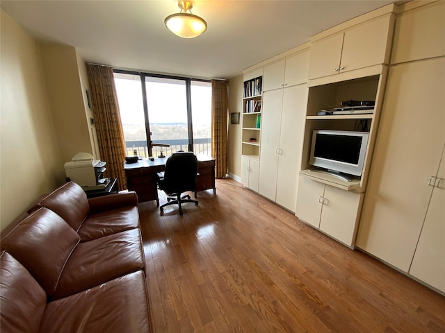 office with light wood-type flooring