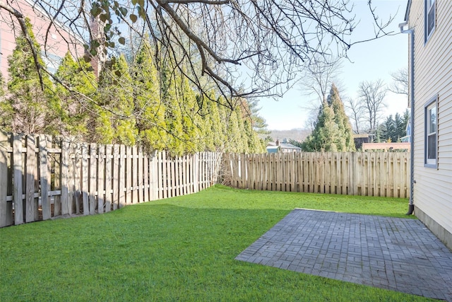 view of yard with a fenced backyard and a patio