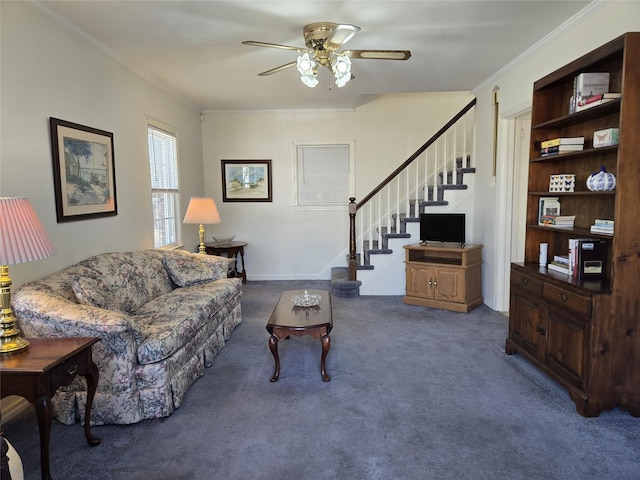 living room featuring a ceiling fan, stairs, ornamental molding, and carpet flooring