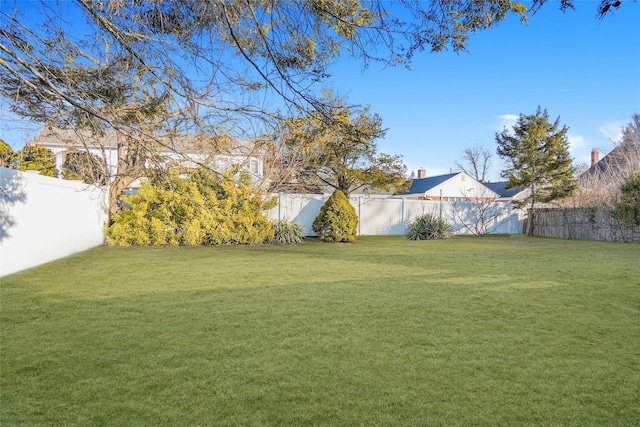 view of yard with a fenced backyard