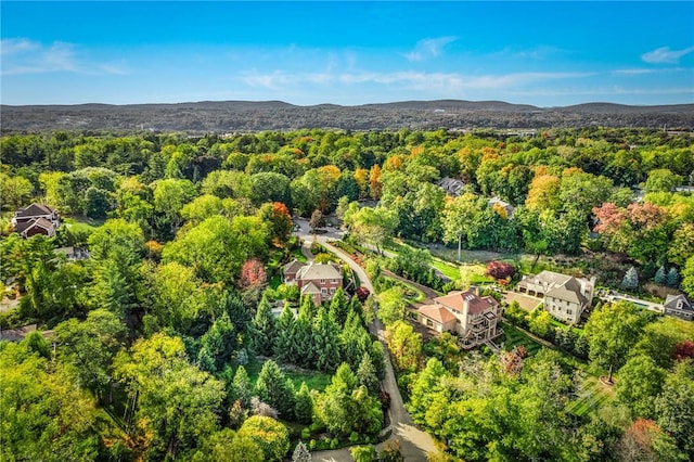 birds eye view of property with a mountain view and a view of trees