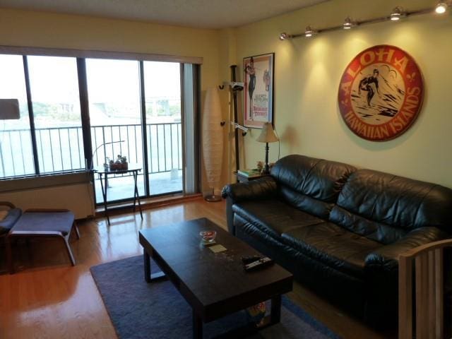 living room with wood finished floors