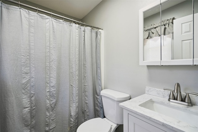 bathroom with toilet and vanity