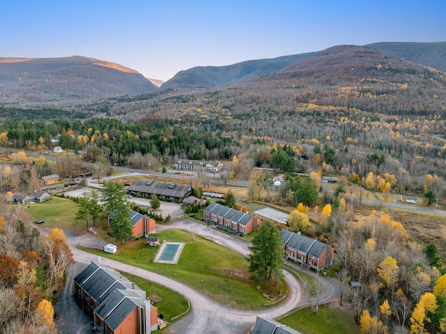 birds eye view of property featuring a mountain view