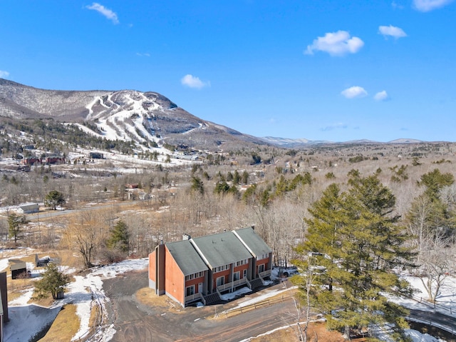 view of mountain feature