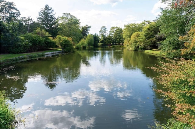 property view of water