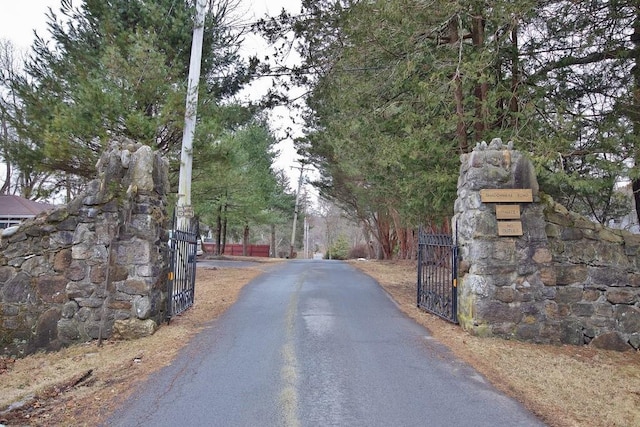 view of road with a gate and a gated entry