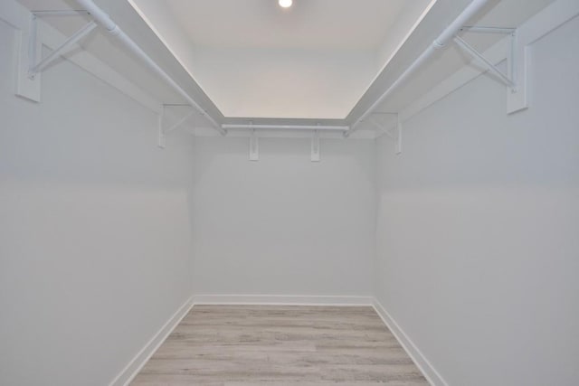 spacious closet with light wood finished floors