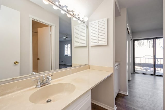 bathroom featuring wood finished floors and vanity