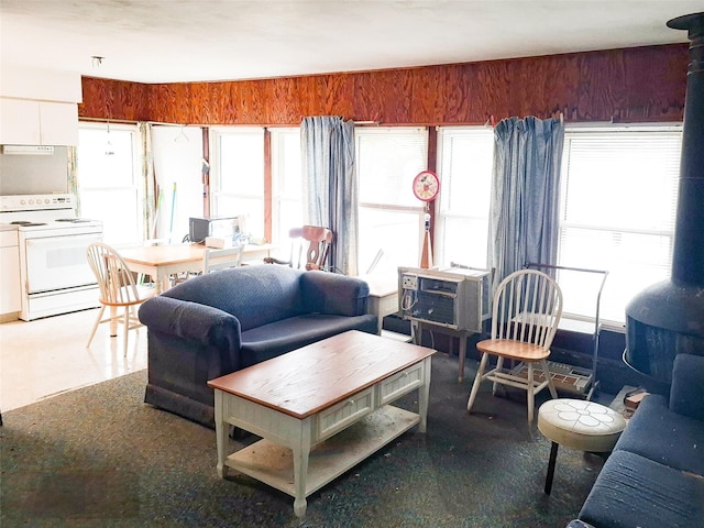 living room featuring wooden walls