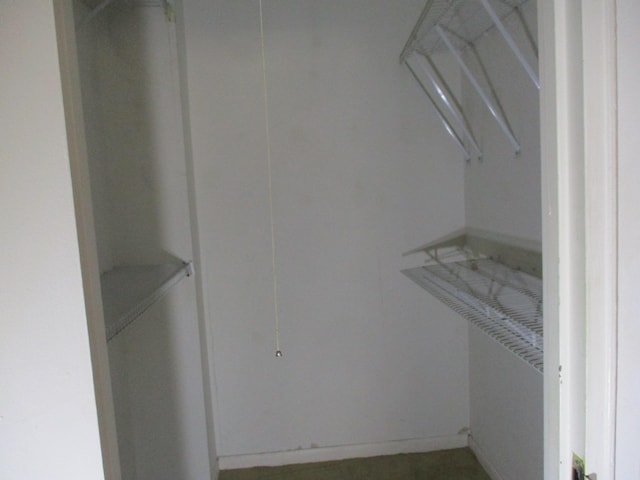 view of walk in closet