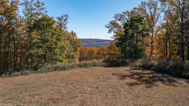 view of yard featuring a wooded view