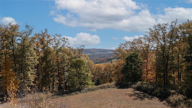 view of mountain feature with a forest view