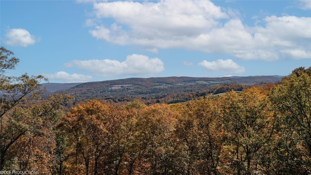 property view of mountains with a wooded view