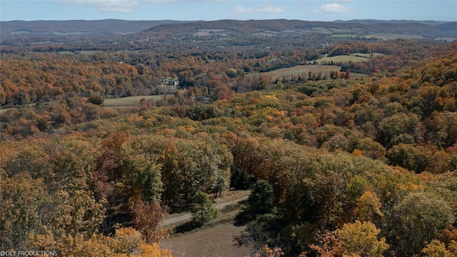 drone / aerial view featuring a forest view and a mountain view