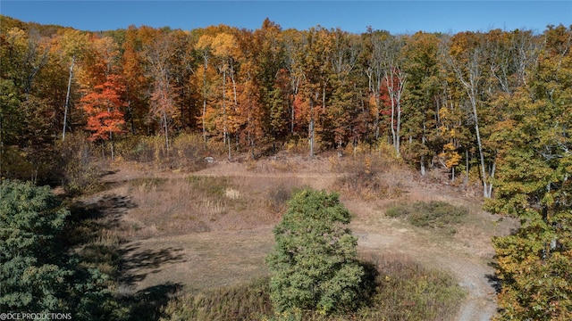 birds eye view of property featuring a forest view