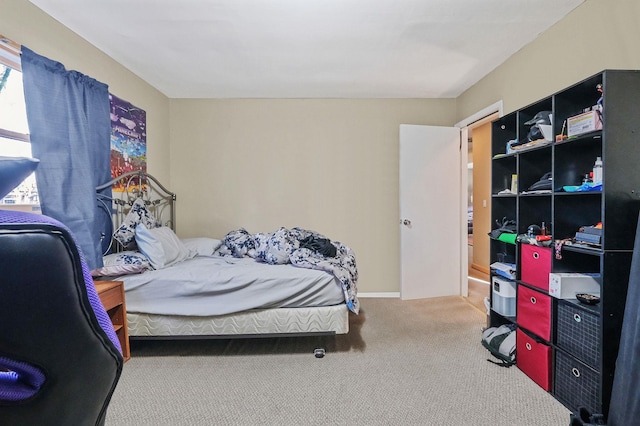 bedroom with carpet flooring