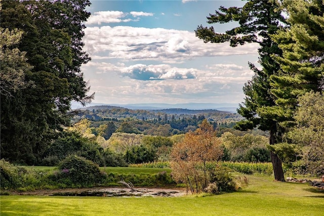 property view of mountains with a wooded view