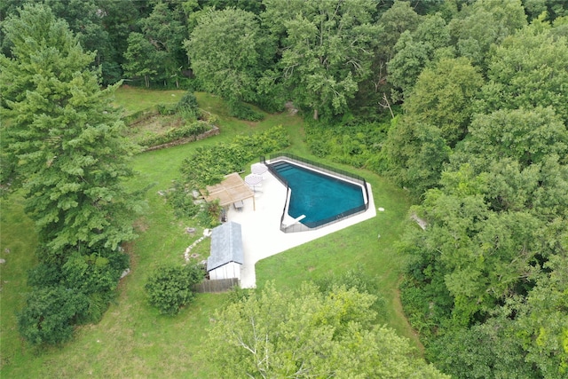 bird's eye view with a view of trees