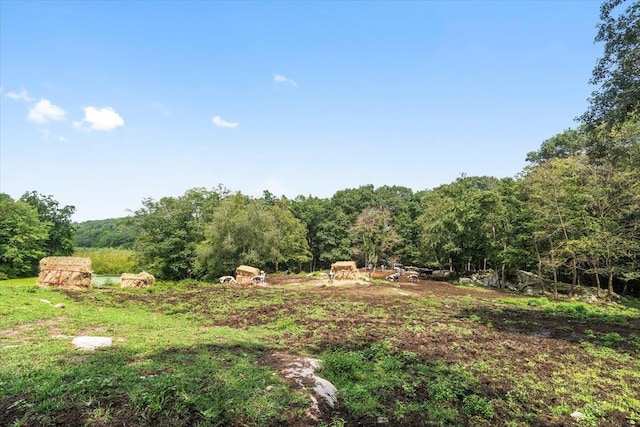 898 Gipsy Trail Rd, Carmel, NY 10512 - view of yard featuring a forest view