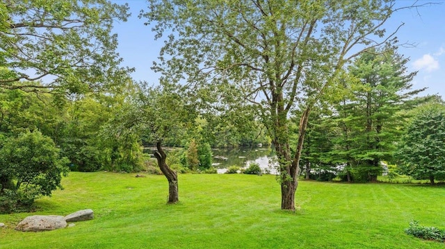 898 Gipsy Trail Rd, Carmel, NY 10512 - view of yard featuring a water view