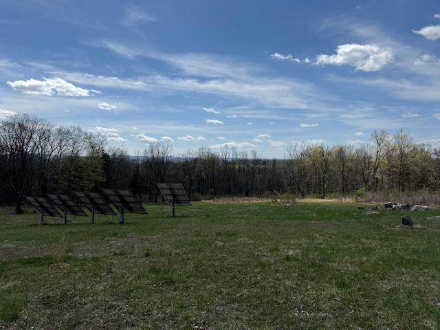 view of yard with a wooded view