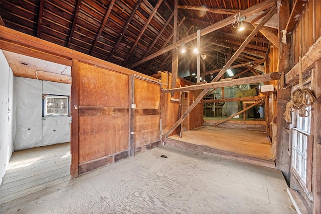 miscellaneous room with vaulted ceiling